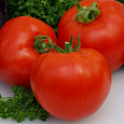 Томат Розетта F1 Томат Розетта F1